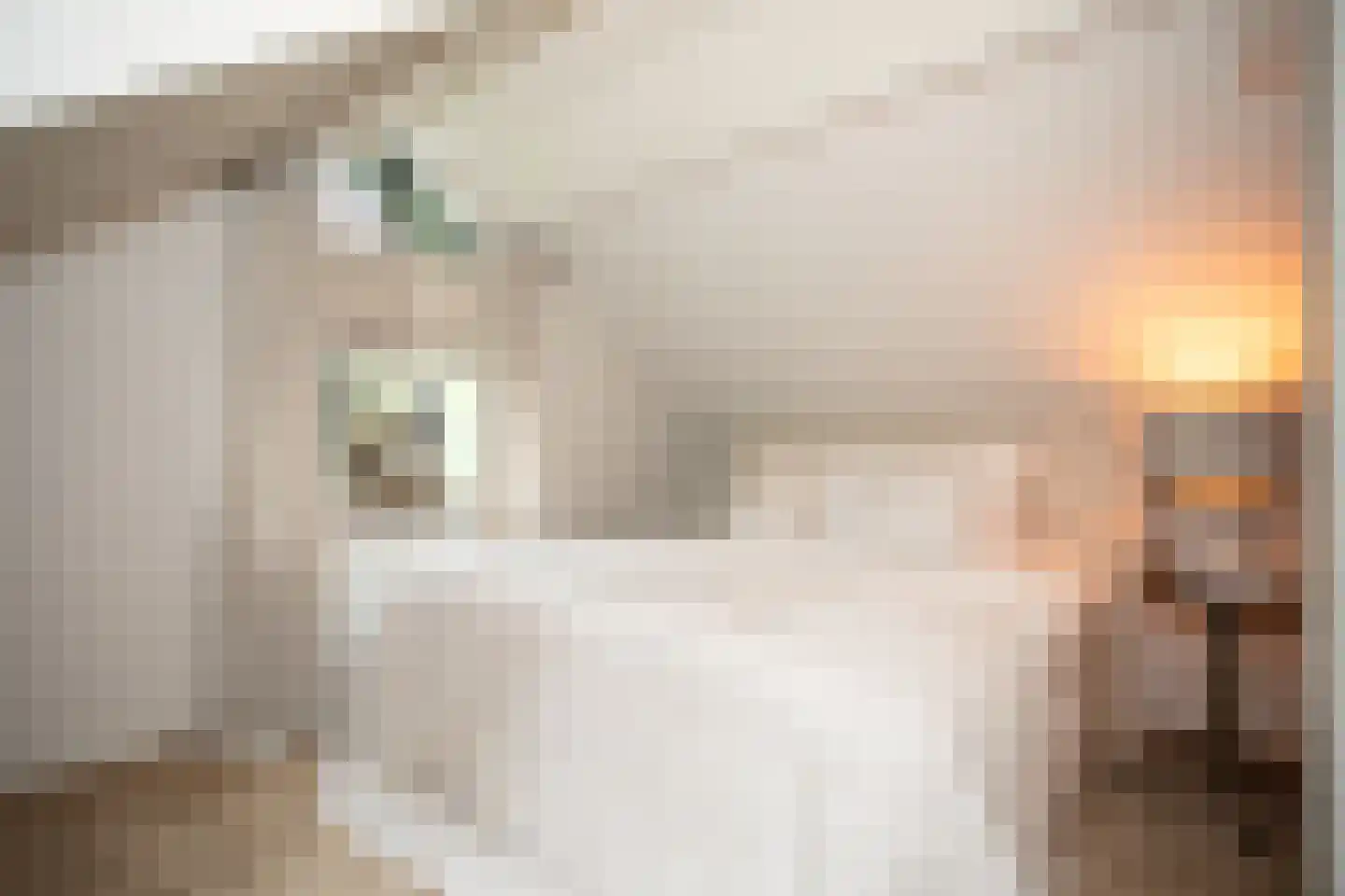 Woestendijk 4 Wierden thumbnail 50