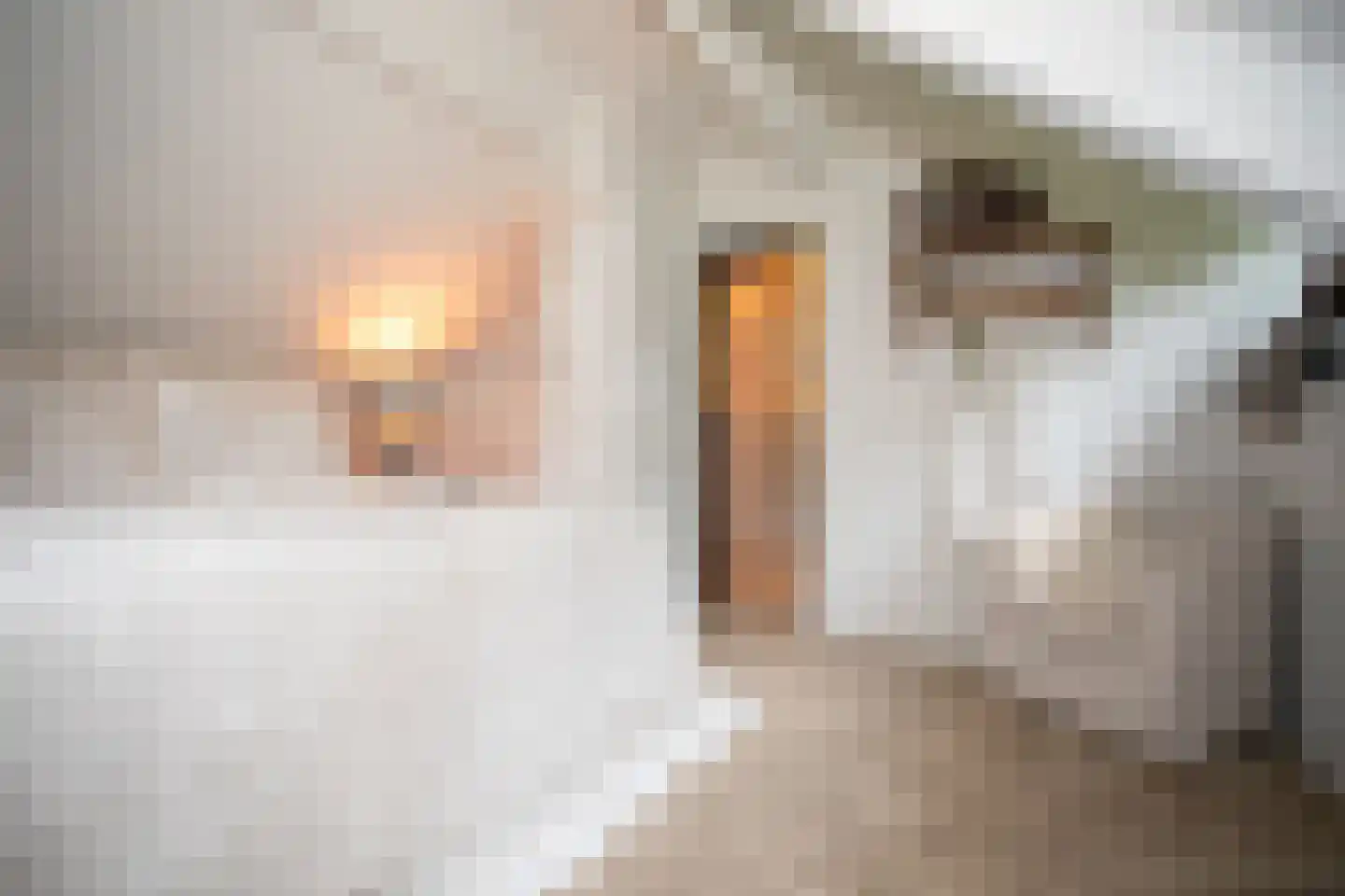 Woestendijk 4 Wierden thumbnail 51