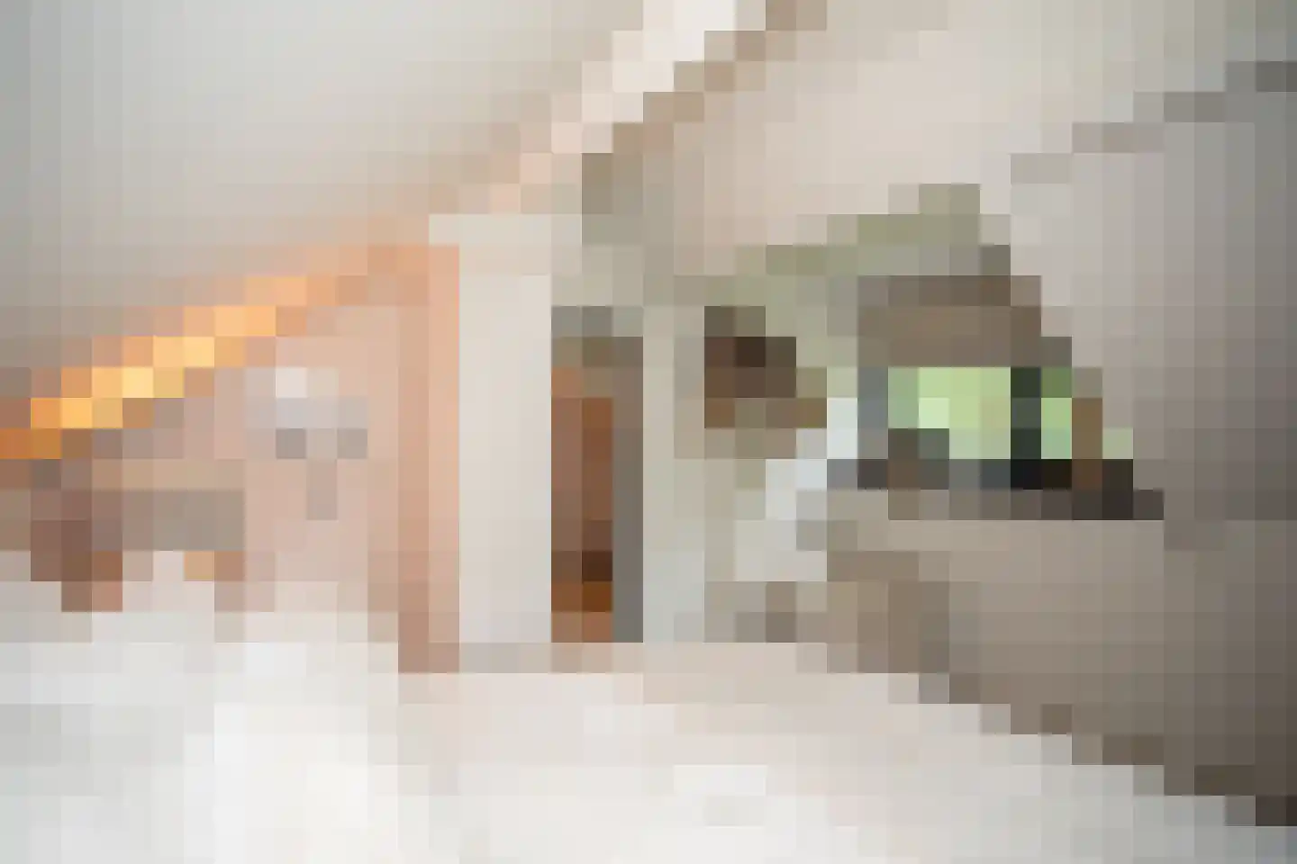 Woestendijk 4 Wierden thumbnail 52