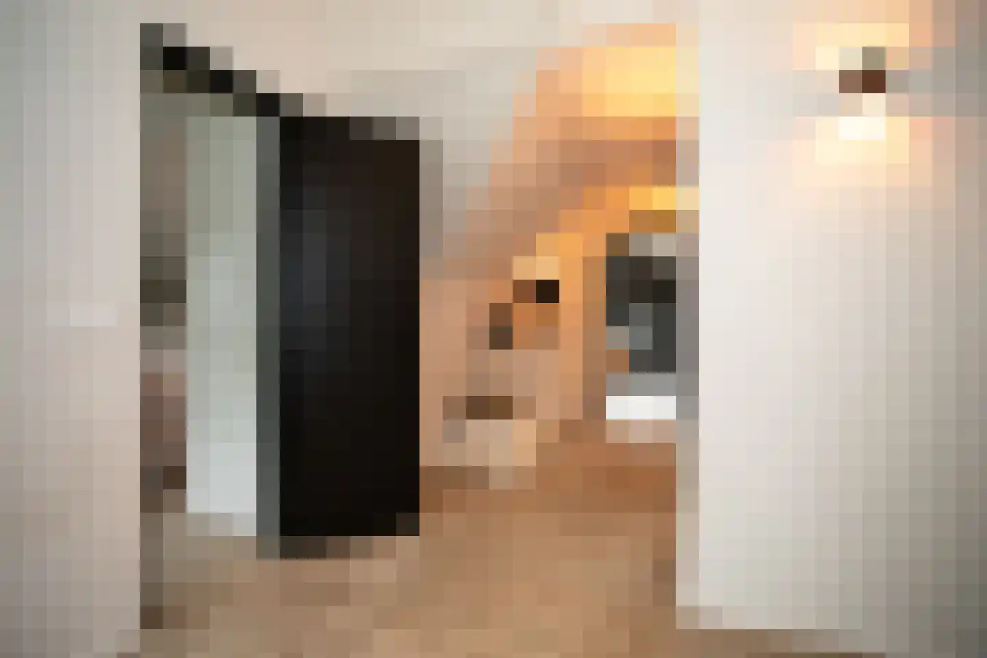 Woestendijk 4 Wierden thumbnail 53