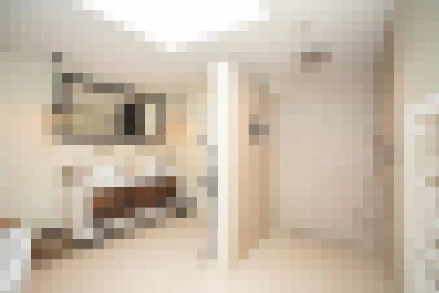 Woestendijk 4 Wierden thumbnail 56