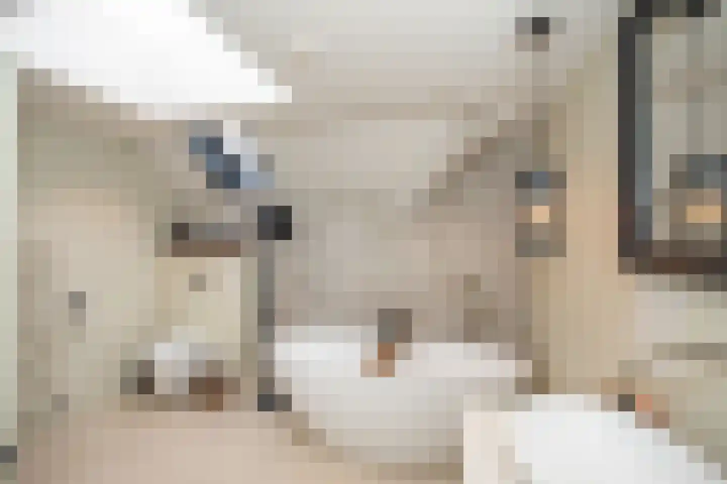 Woestendijk 4 Wierden thumbnail 57