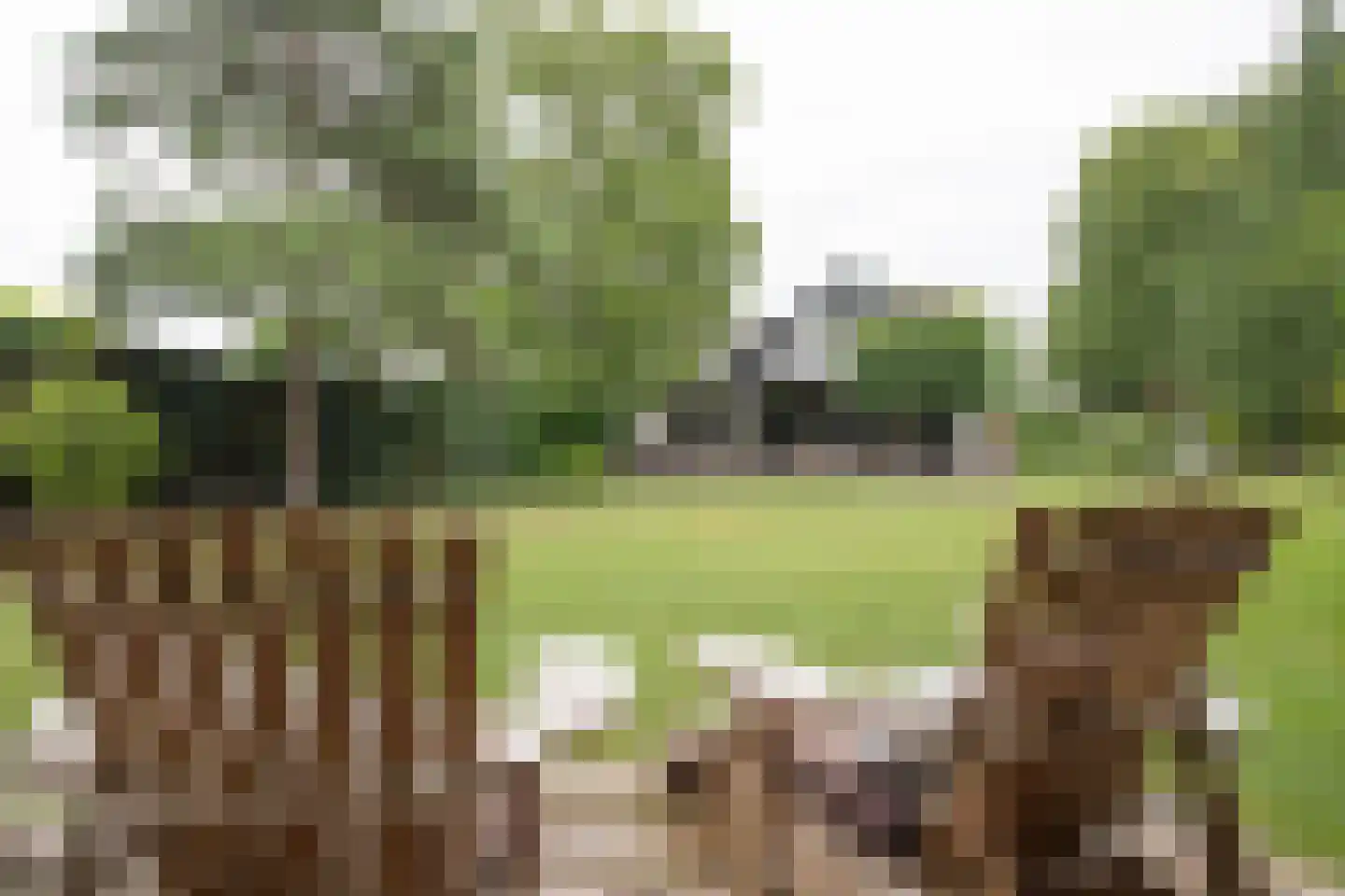 Woestendijk 4 Wierden thumbnail 6