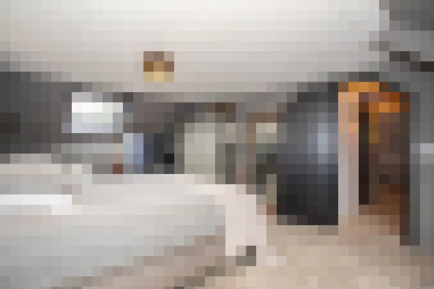 Woestendijk 4 Wierden thumbnail 60