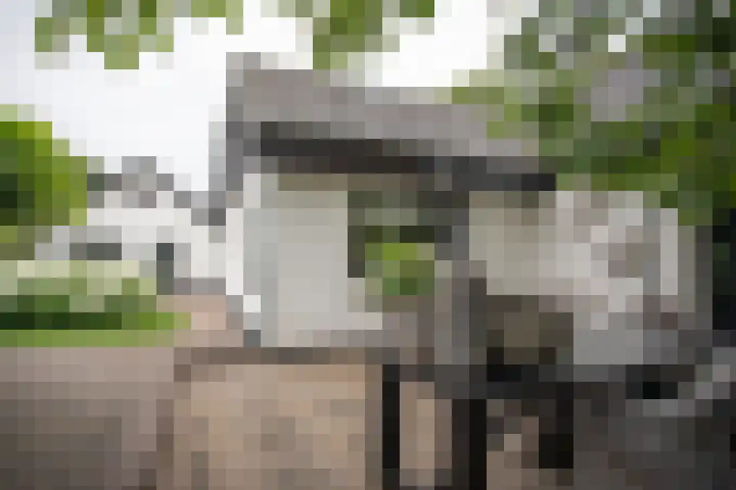 Woestendijk 4 Wierden thumbnail 63