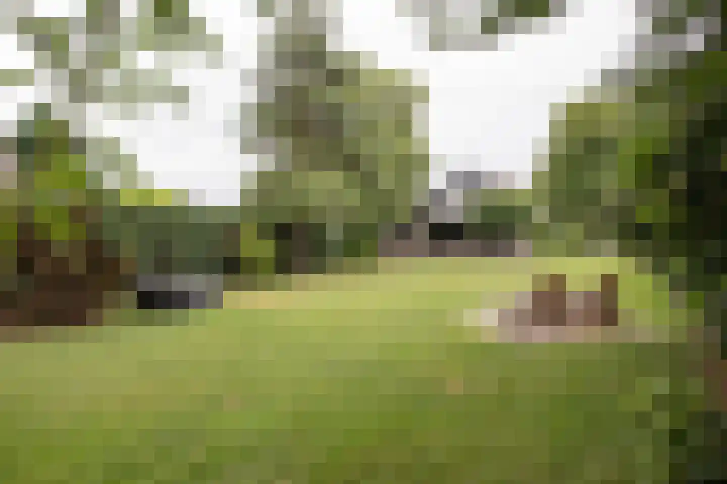 Woestendijk 4 Wierden thumbnail 64