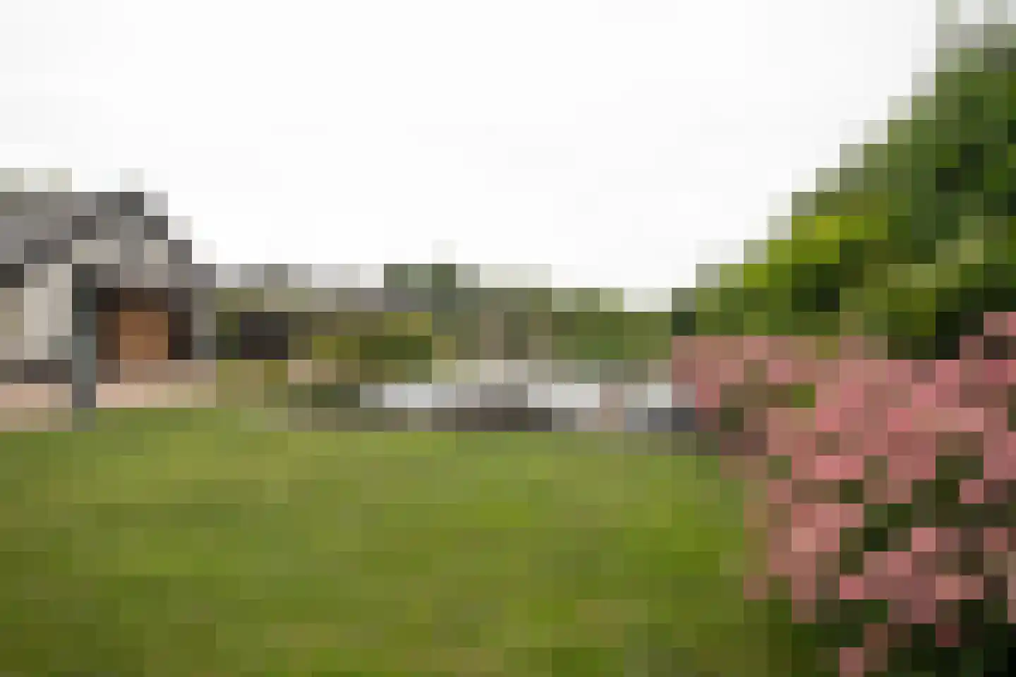 Woestendijk 4 Wierden thumbnail 67