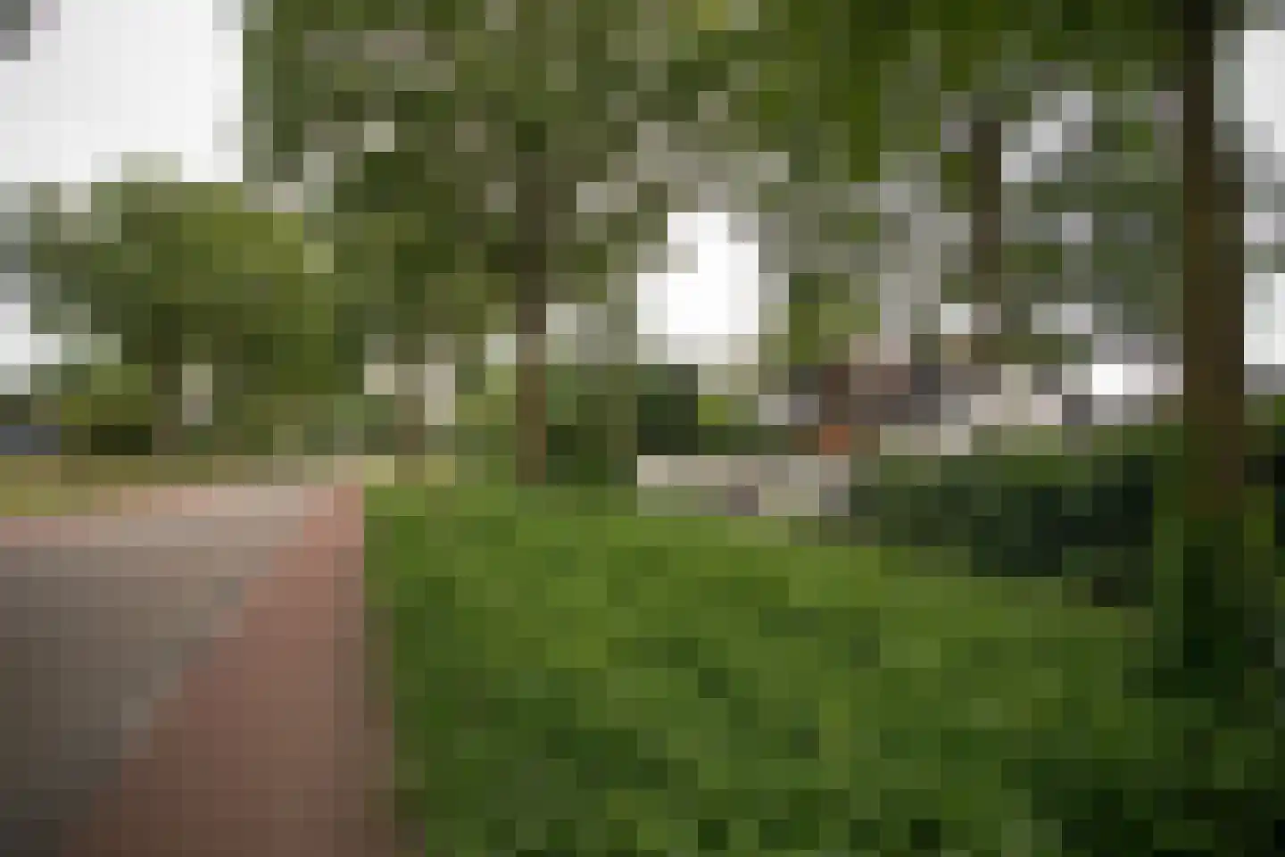 Woestendijk 4 Wierden thumbnail 70
