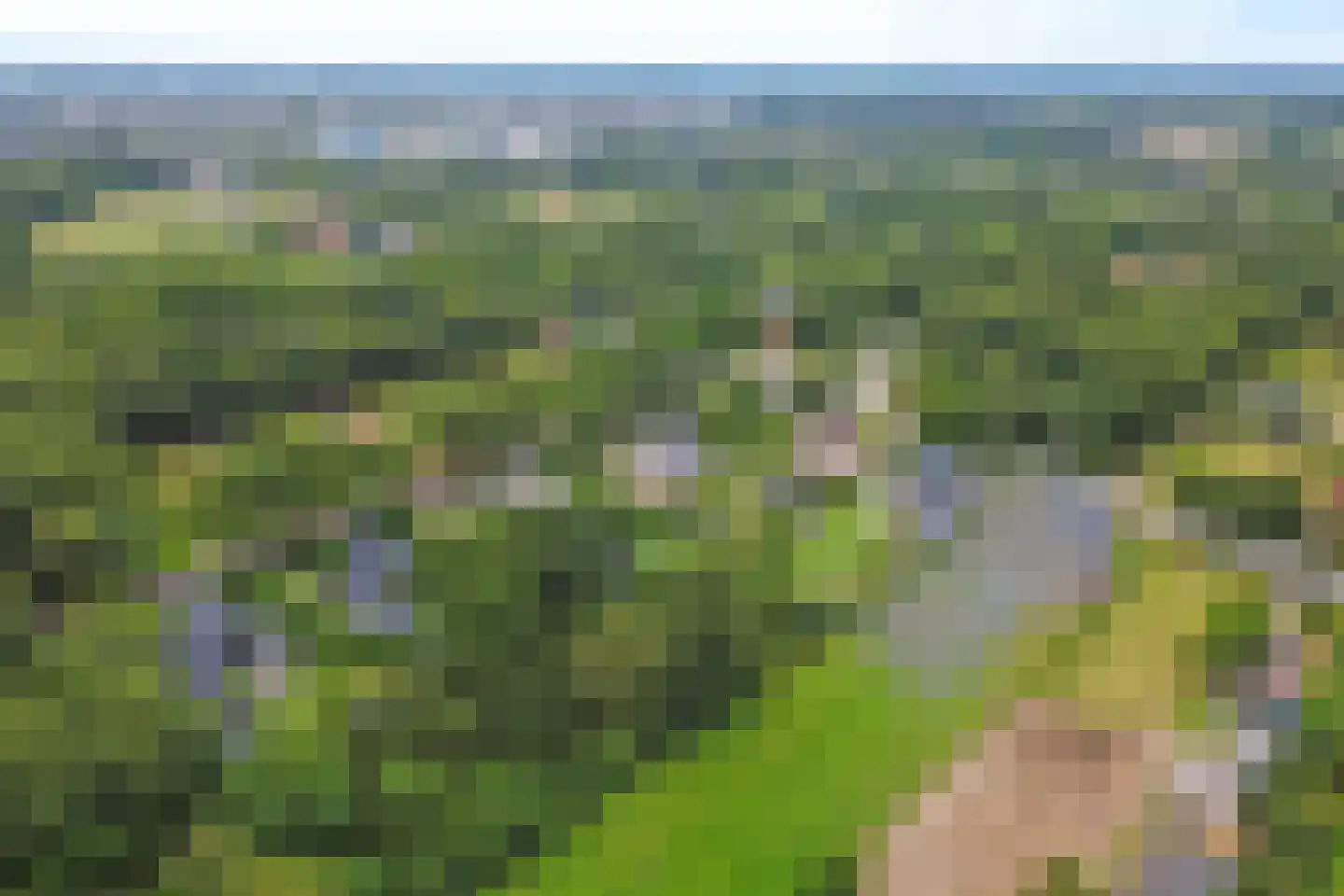 Woestendijk 4 Wierden thumbnail 71