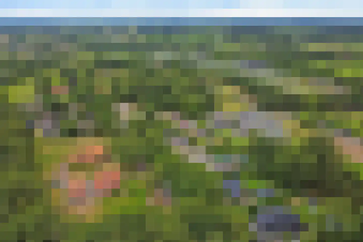 Woestendijk 4 Wierden thumbnail 72