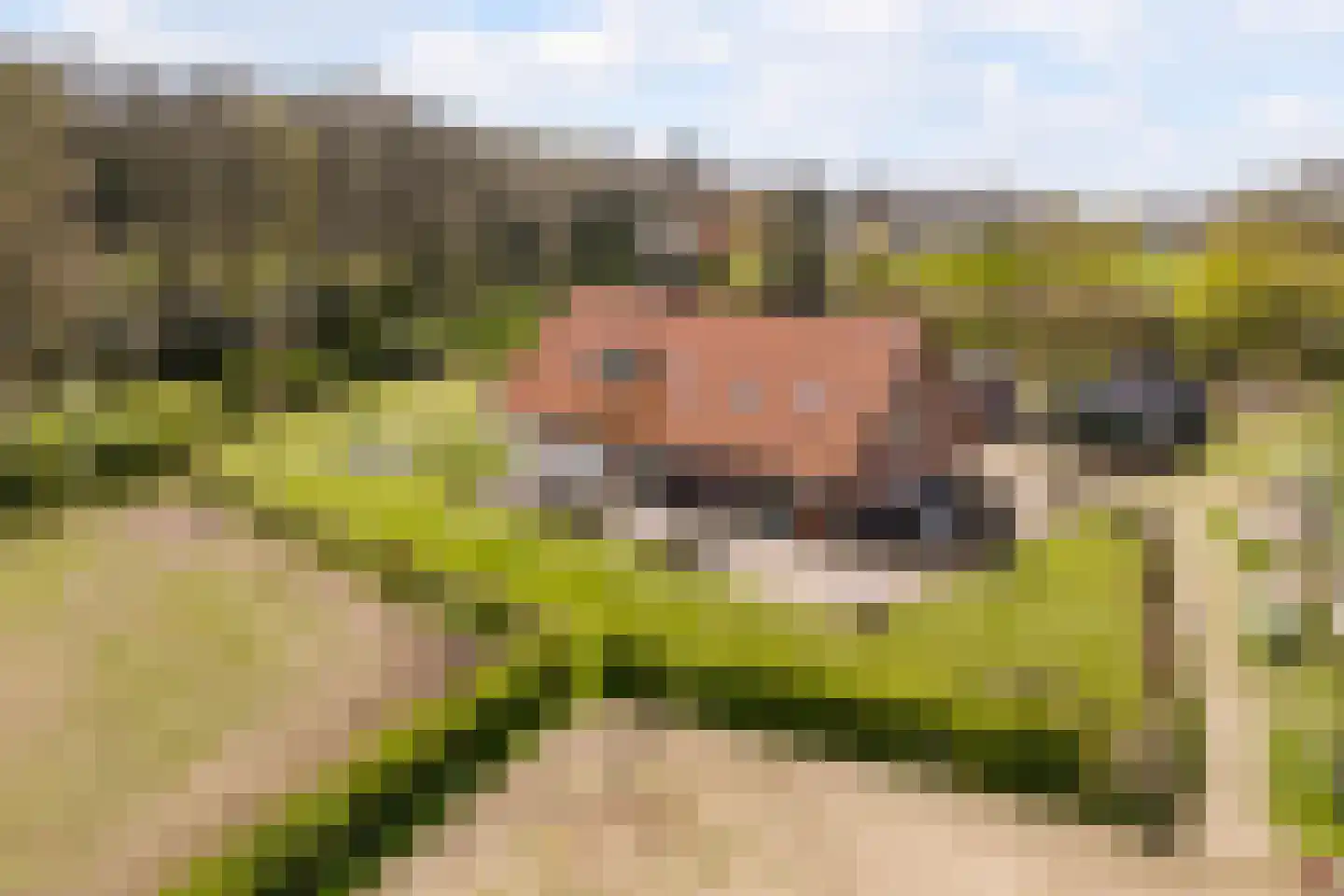 Woestenes 7 in Eibergen