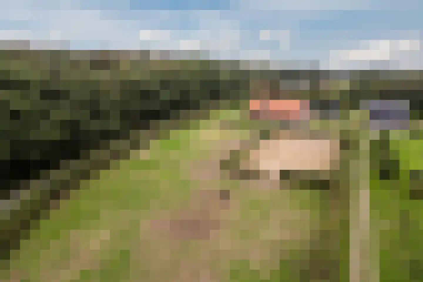Woestenes 7 in Eibergen