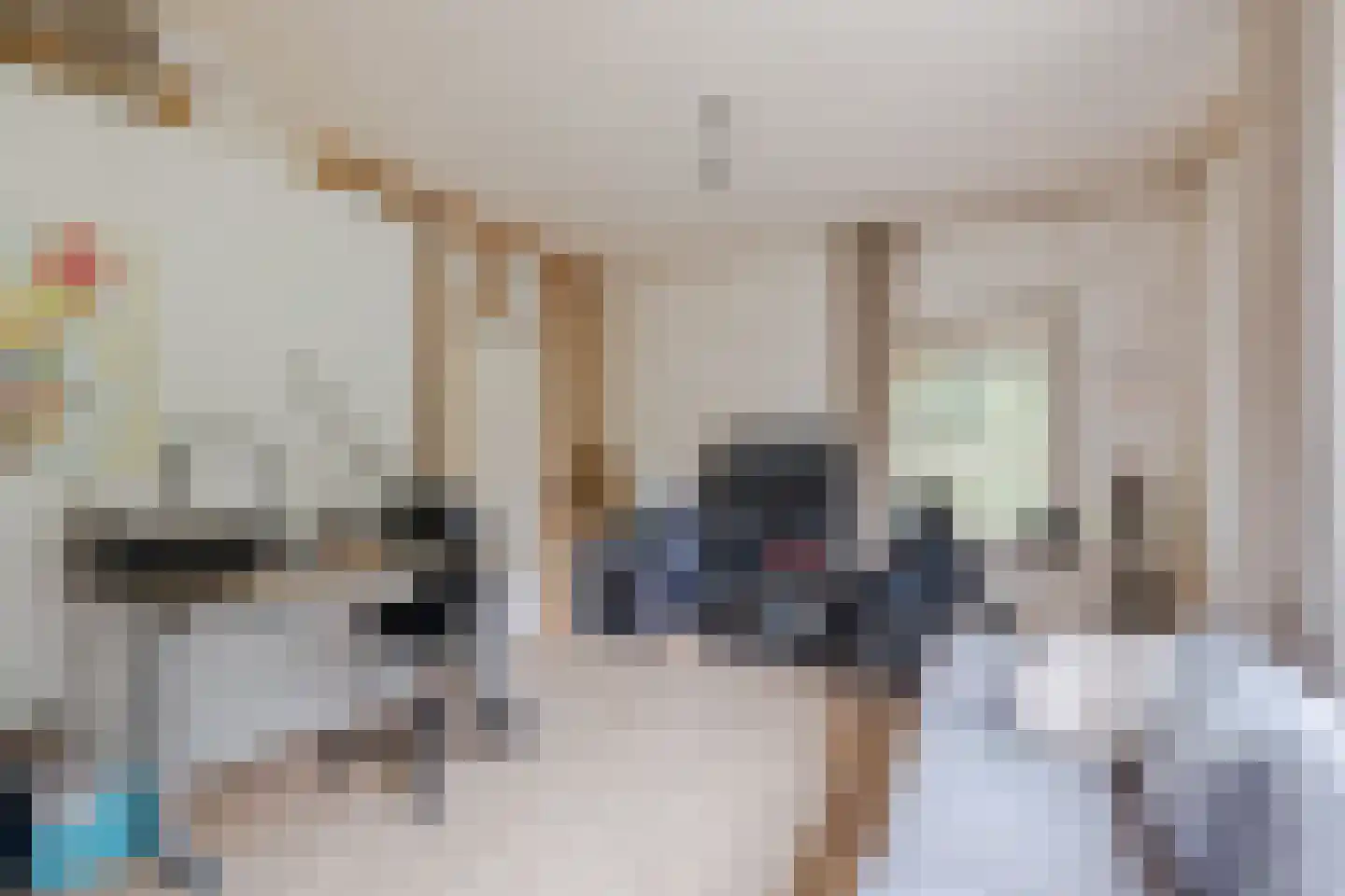 Woestenes 7 Eibergen thumbnail 20