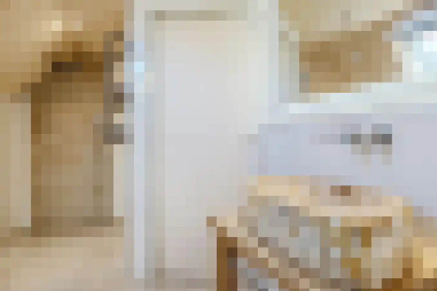 Woestenes 7 Eibergen thumbnail 29