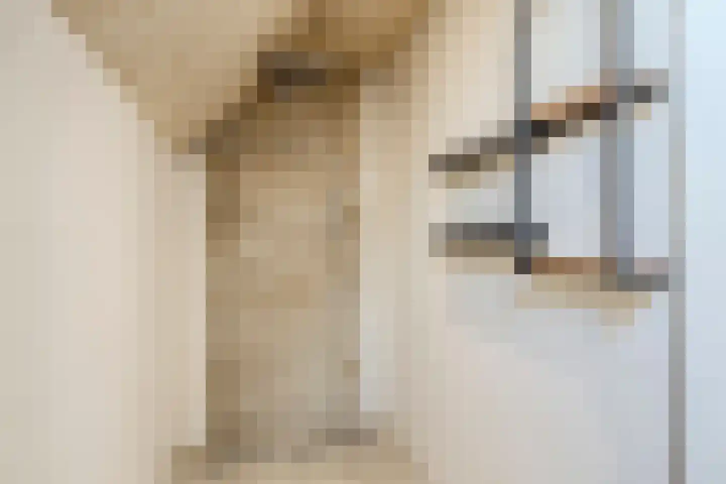 Woestenes 7 Eibergen thumbnail 30