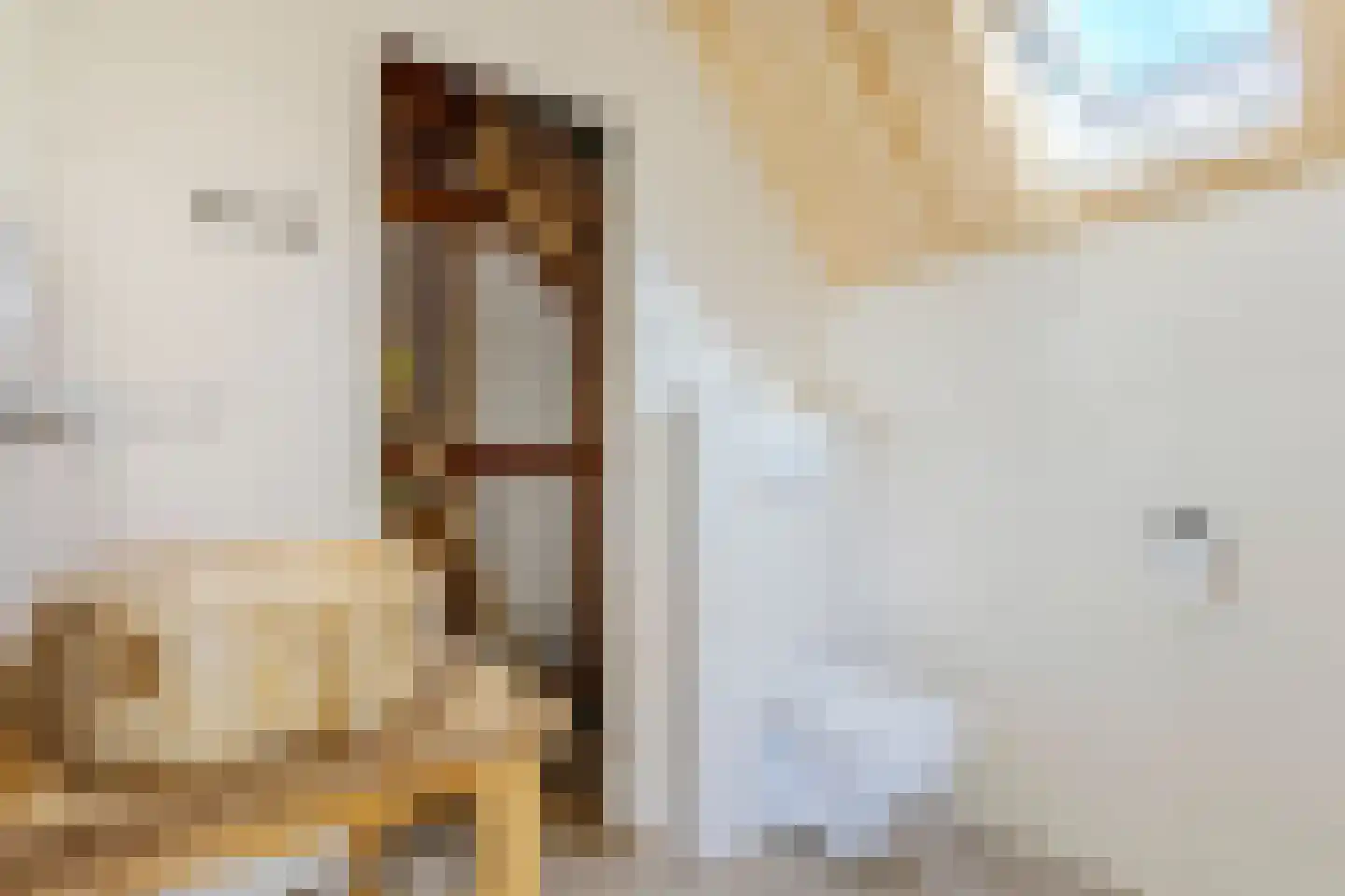 Woestenes 7 Eibergen thumbnail 31