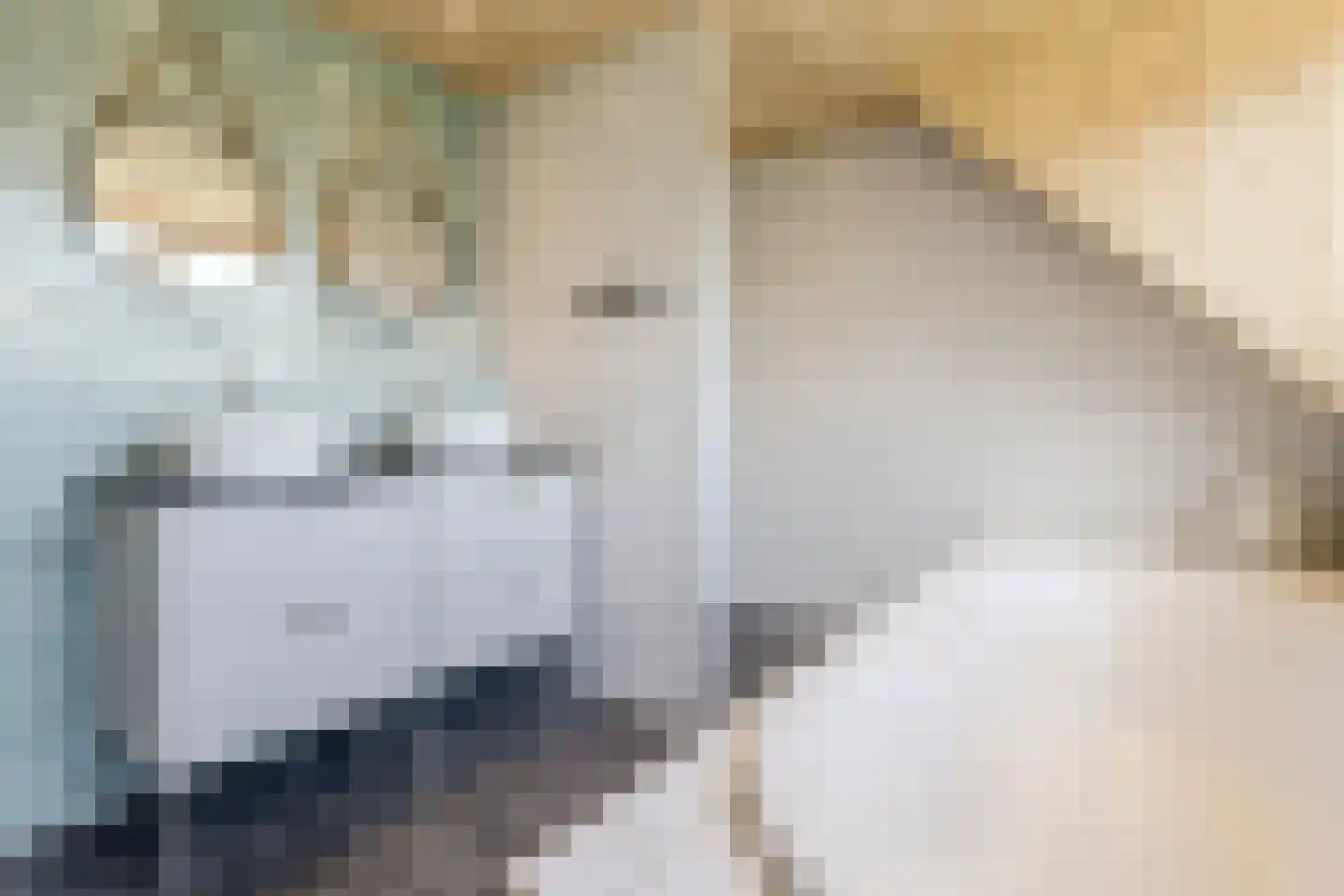 Woestenes 7 Eibergen thumbnail 33