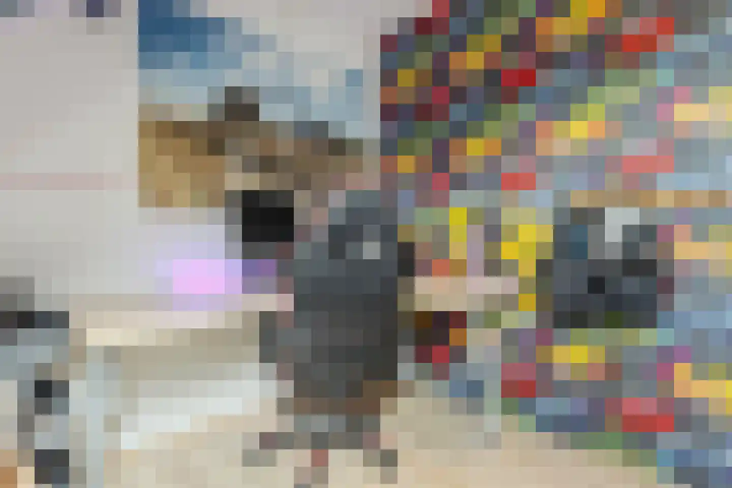 Woestenes 7 Eibergen thumbnail 37