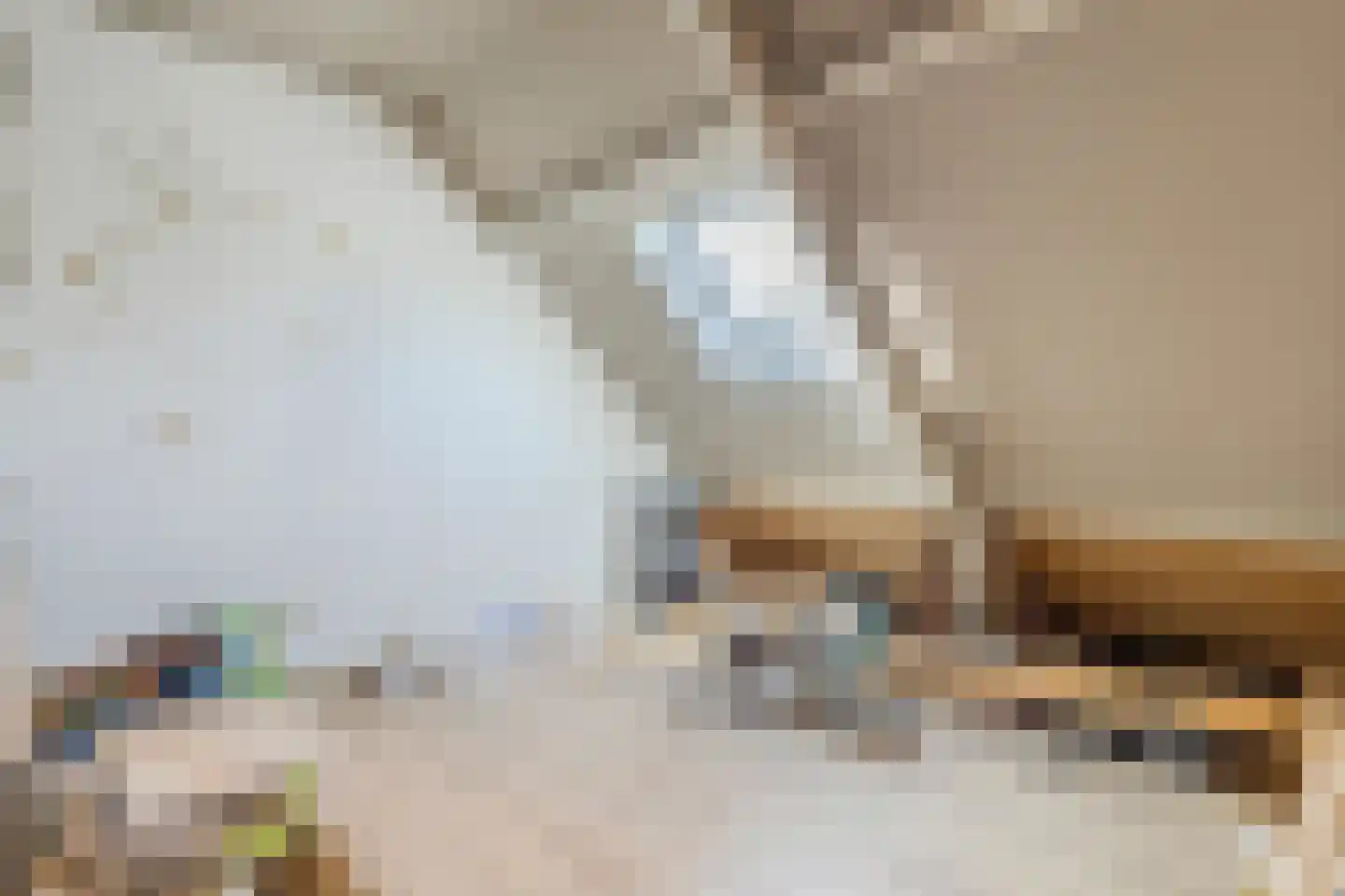 Woestenes 7 Eibergen thumbnail 42