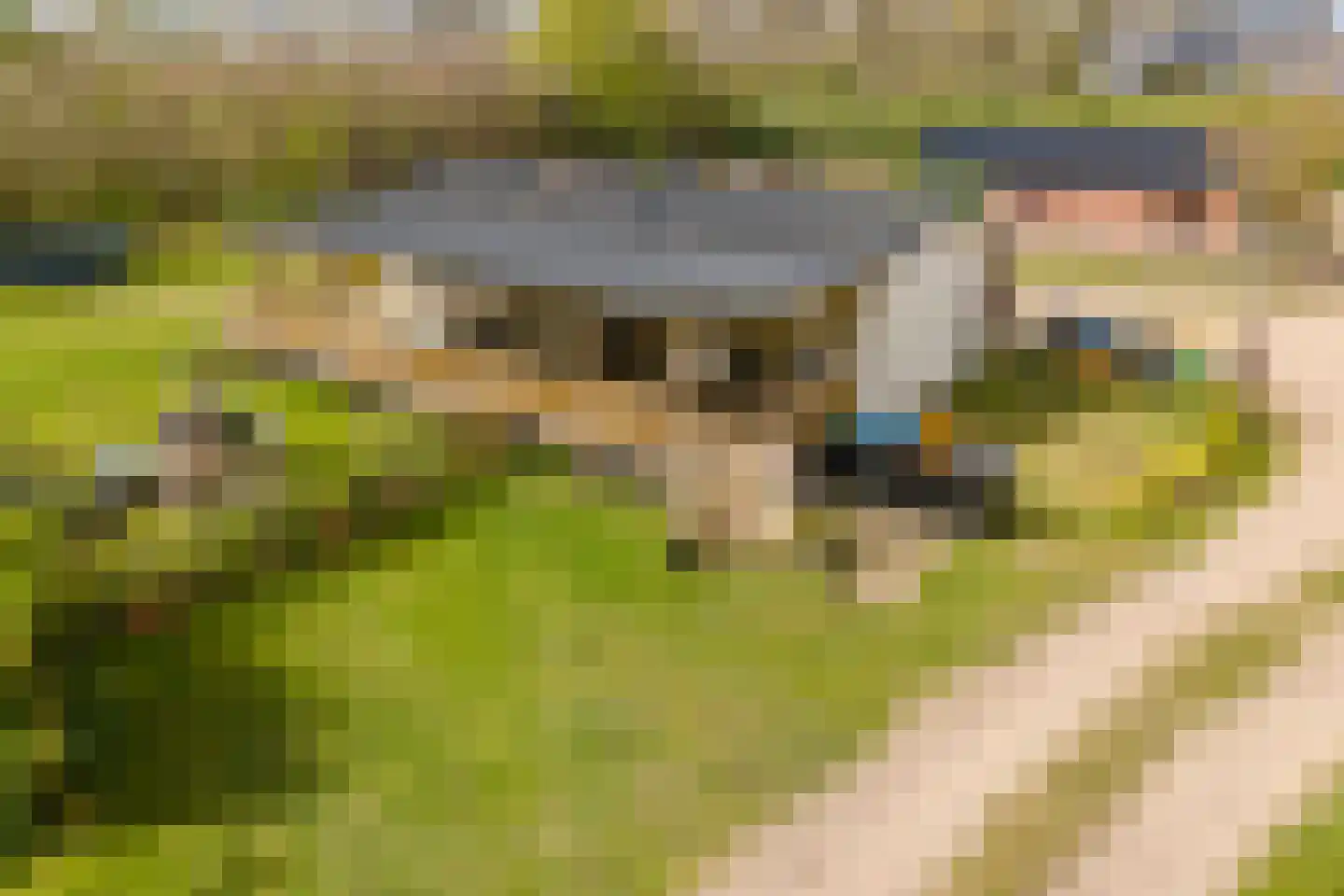 Woestenes 7 Eibergen thumbnail 47