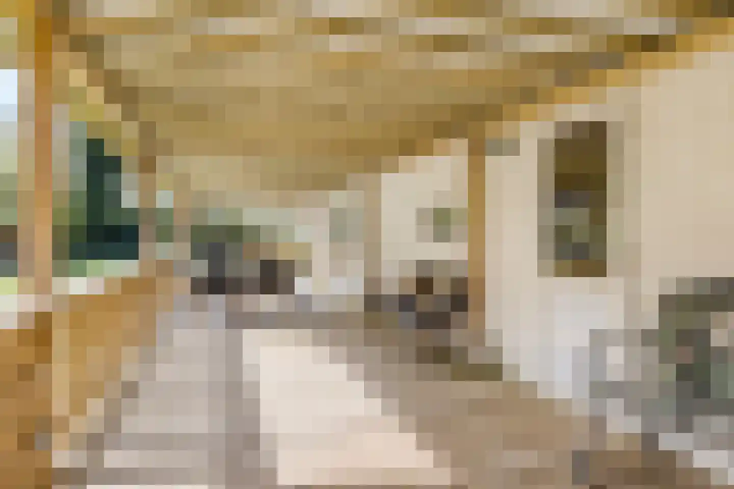 Woestenes 7 Eibergen thumbnail 48