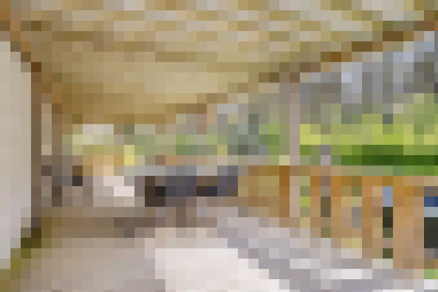 Woestenes 7 Eibergen thumbnail 49