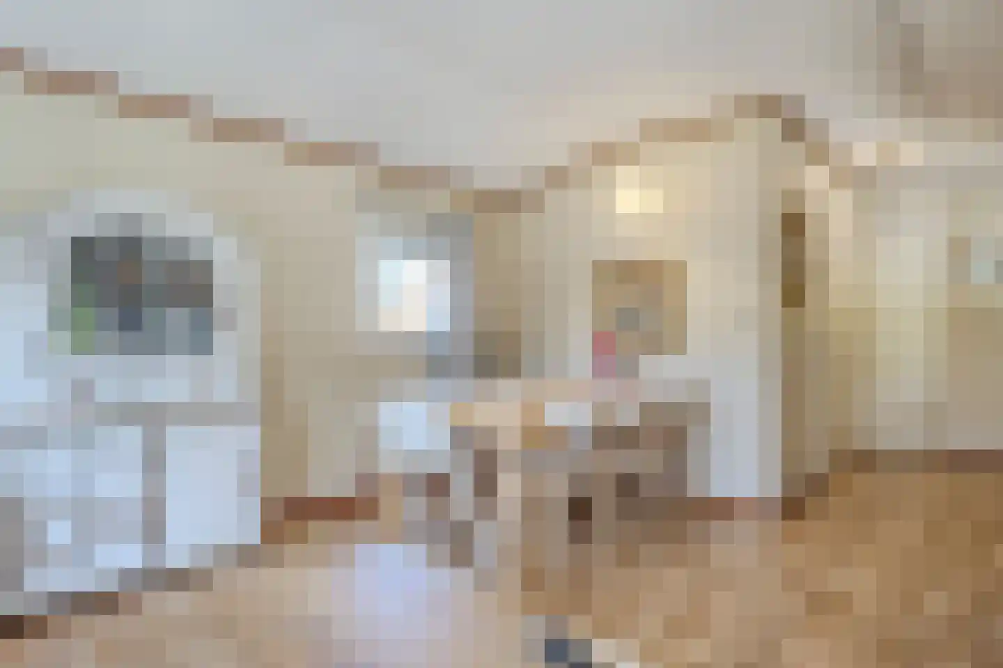 Woestenes 7 Eibergen thumbnail 52