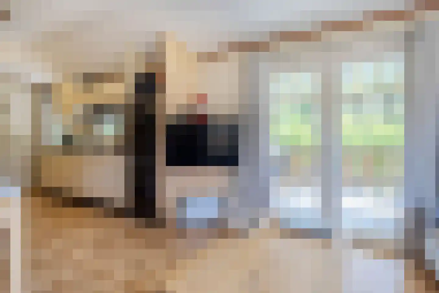 Woestenes 7 Eibergen thumbnail 53