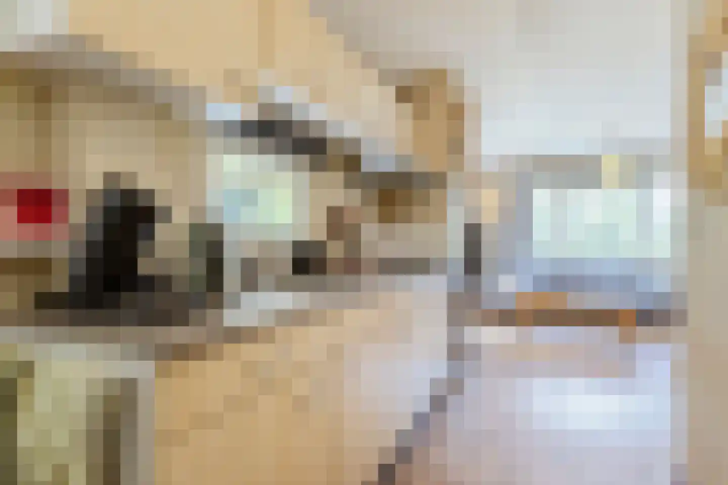 Woestenes 7 Eibergen thumbnail 54
