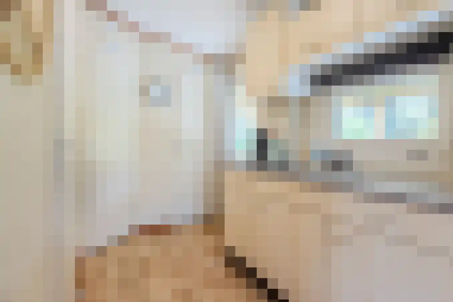 Woestenes 7 Eibergen thumbnail 55