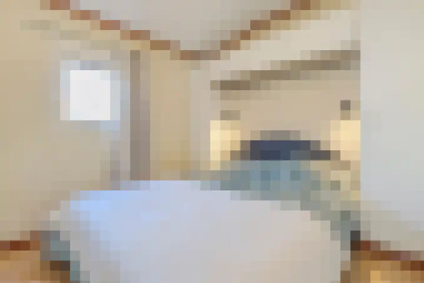Woestenes 7 Eibergen thumbnail 57