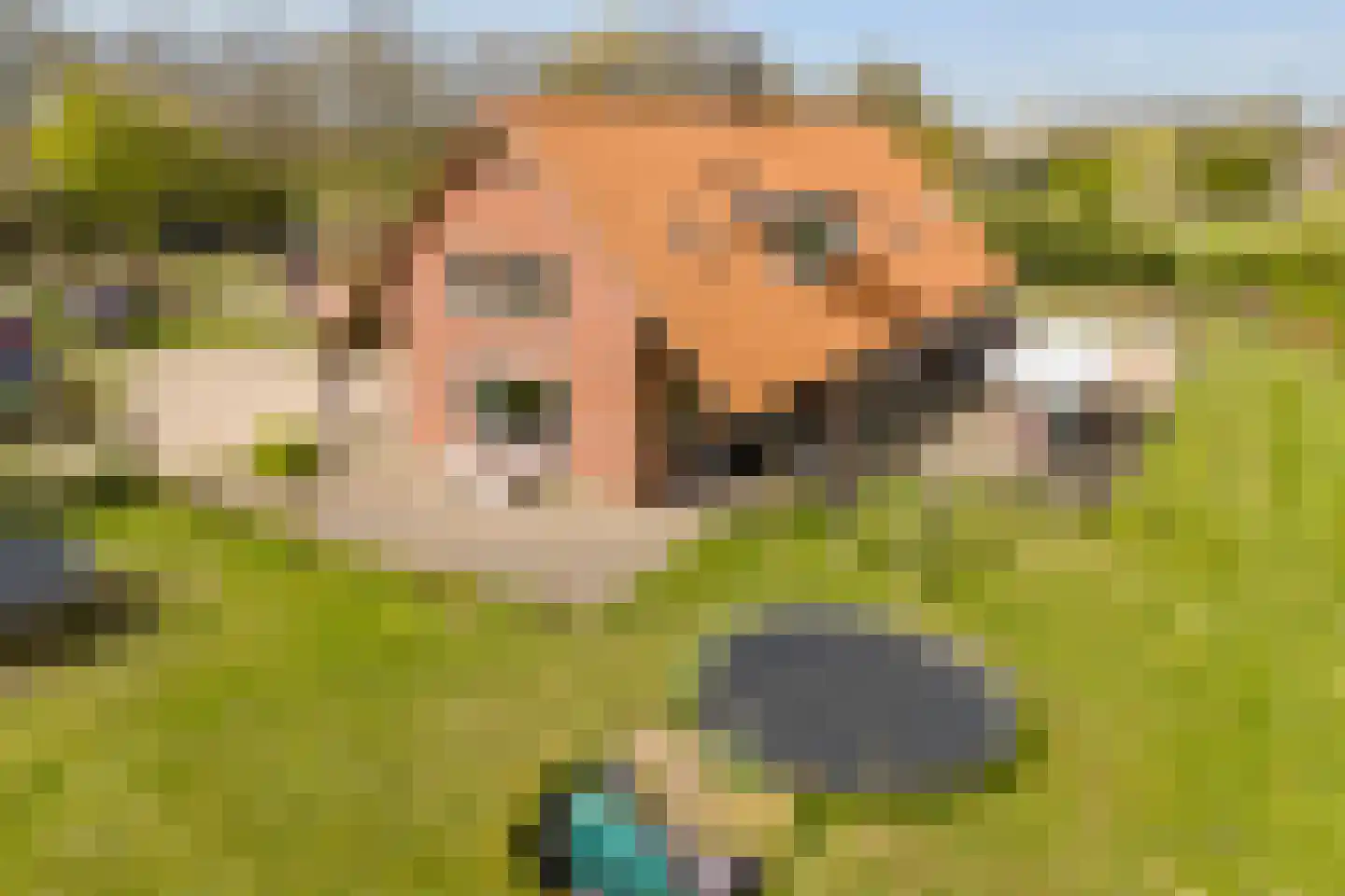 Woestenes 7 Eibergen thumbnail 6