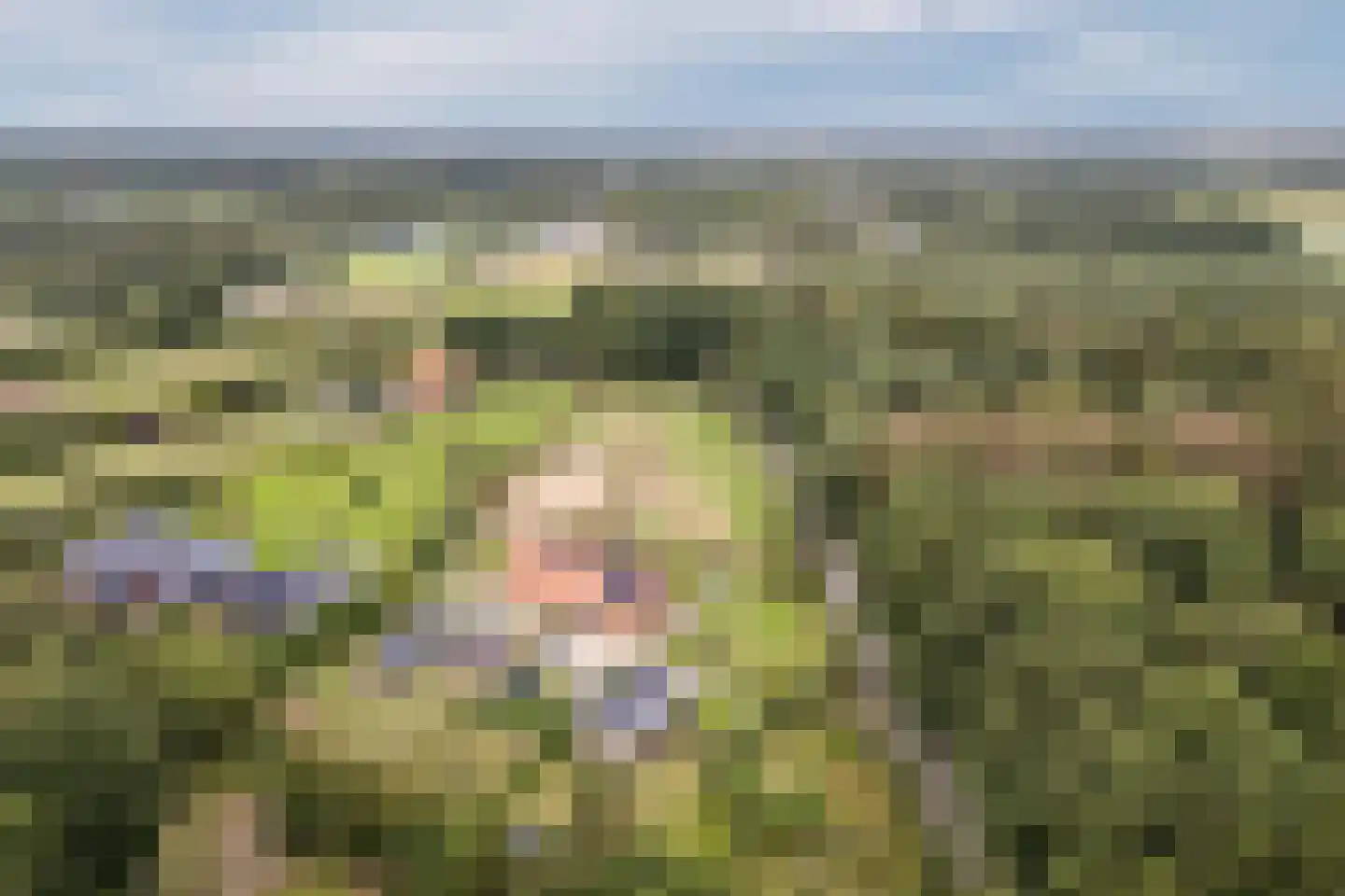 Woestenes 7 Eibergen thumbnail 60