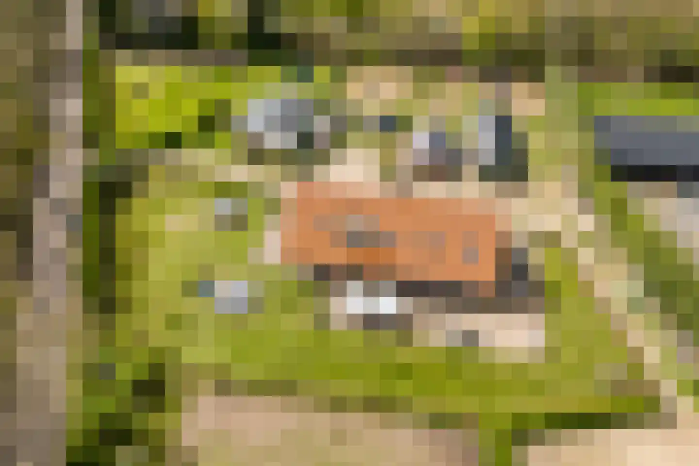 Woestenes 7 Eibergen thumbnail 61