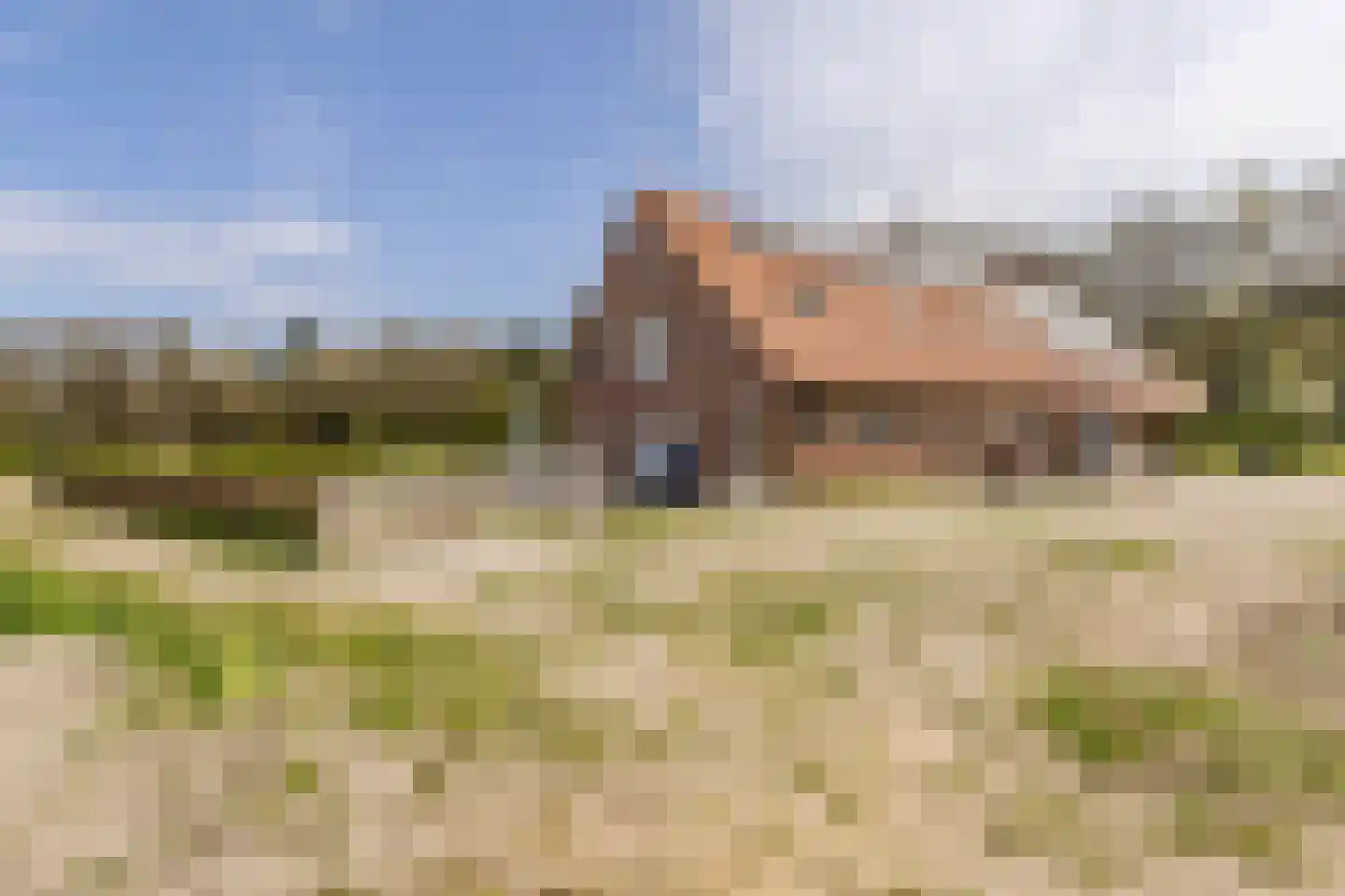 Woestenes 7 Eibergen thumbnail 62