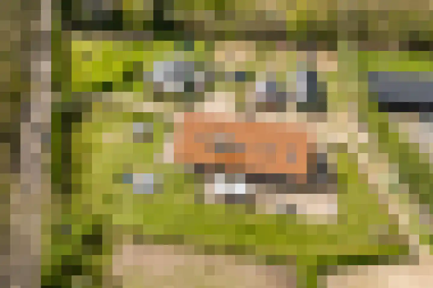 Woestenes 7 Eibergen thumbnail 62