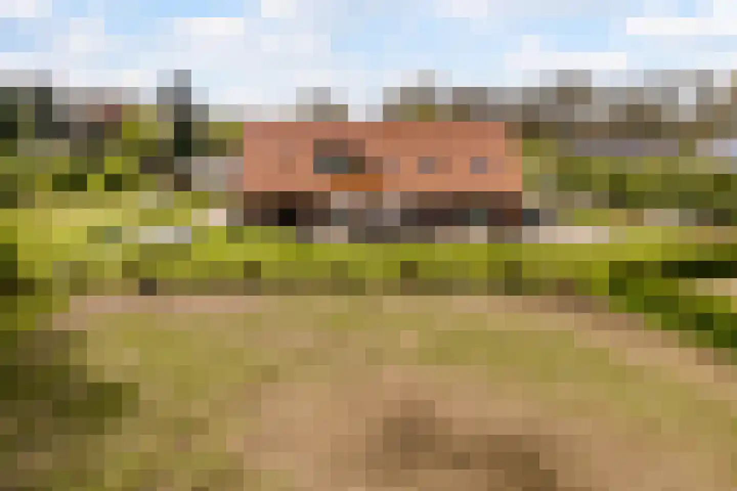 Woestenes 7 Eibergen thumbnail 64