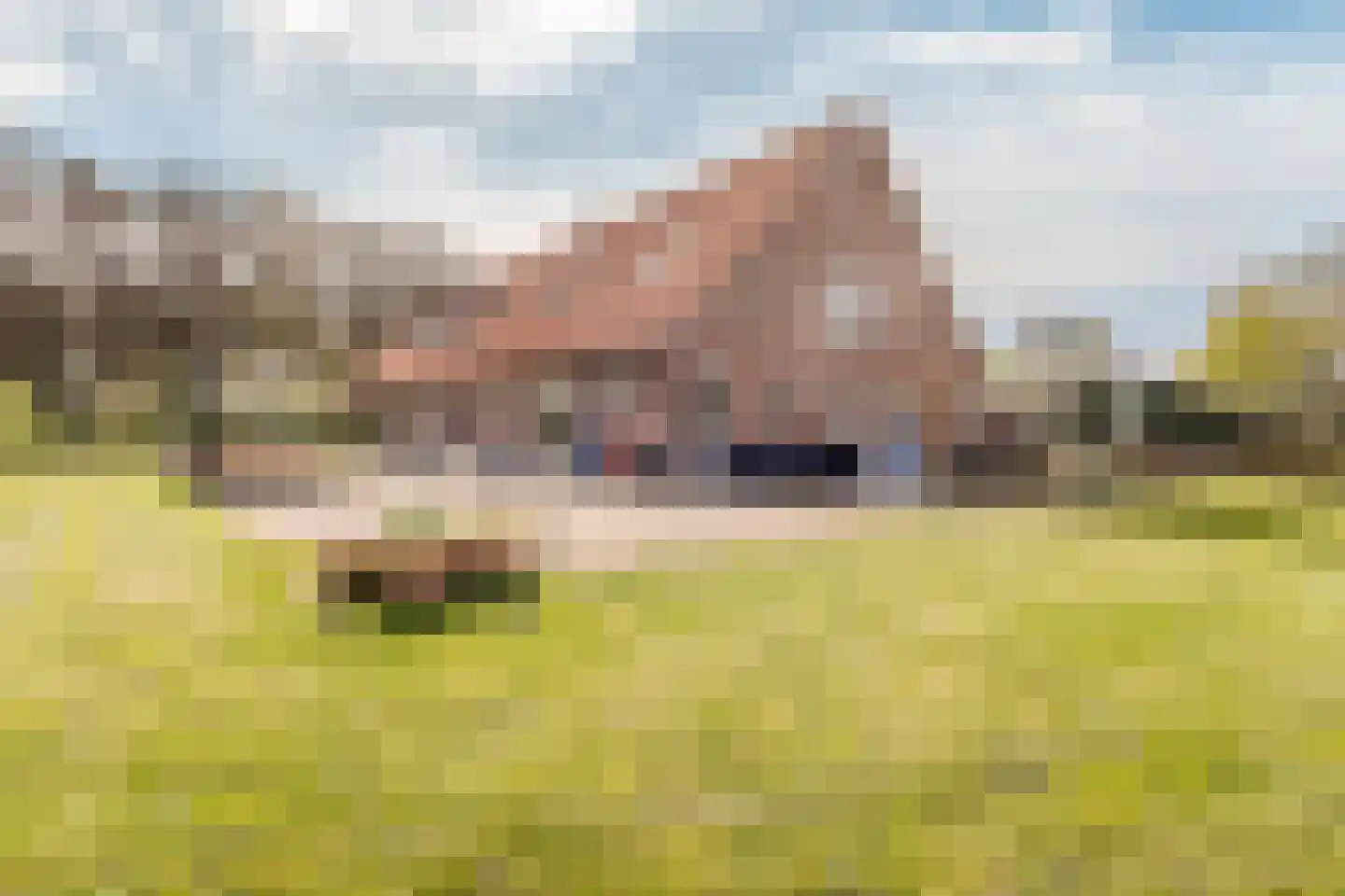 Woestenes 7 Eibergen thumbnail 65