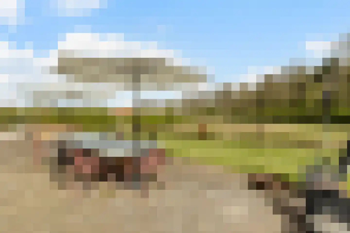 Woestenes 7 Eibergen thumbnail 67