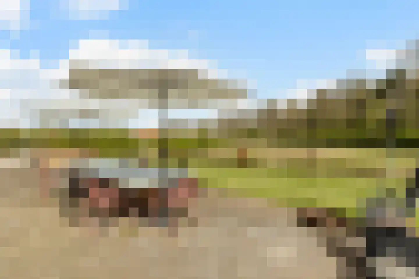 Woestenes 7 Eibergen thumbnail 68