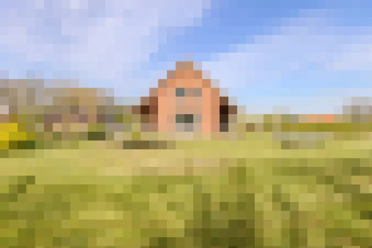Woestenes 7 Eibergen thumbnail 69