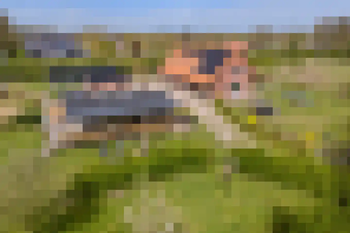 Woestenes 7 Eibergen thumbnail 70