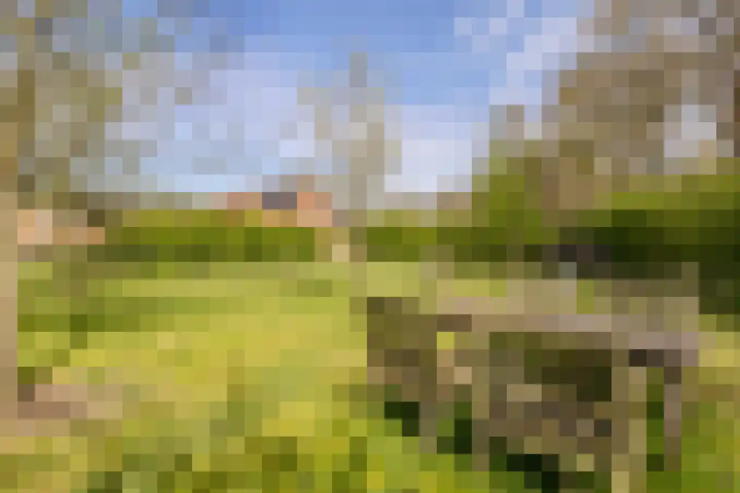 Woestenes 7 Eibergen thumbnail 75