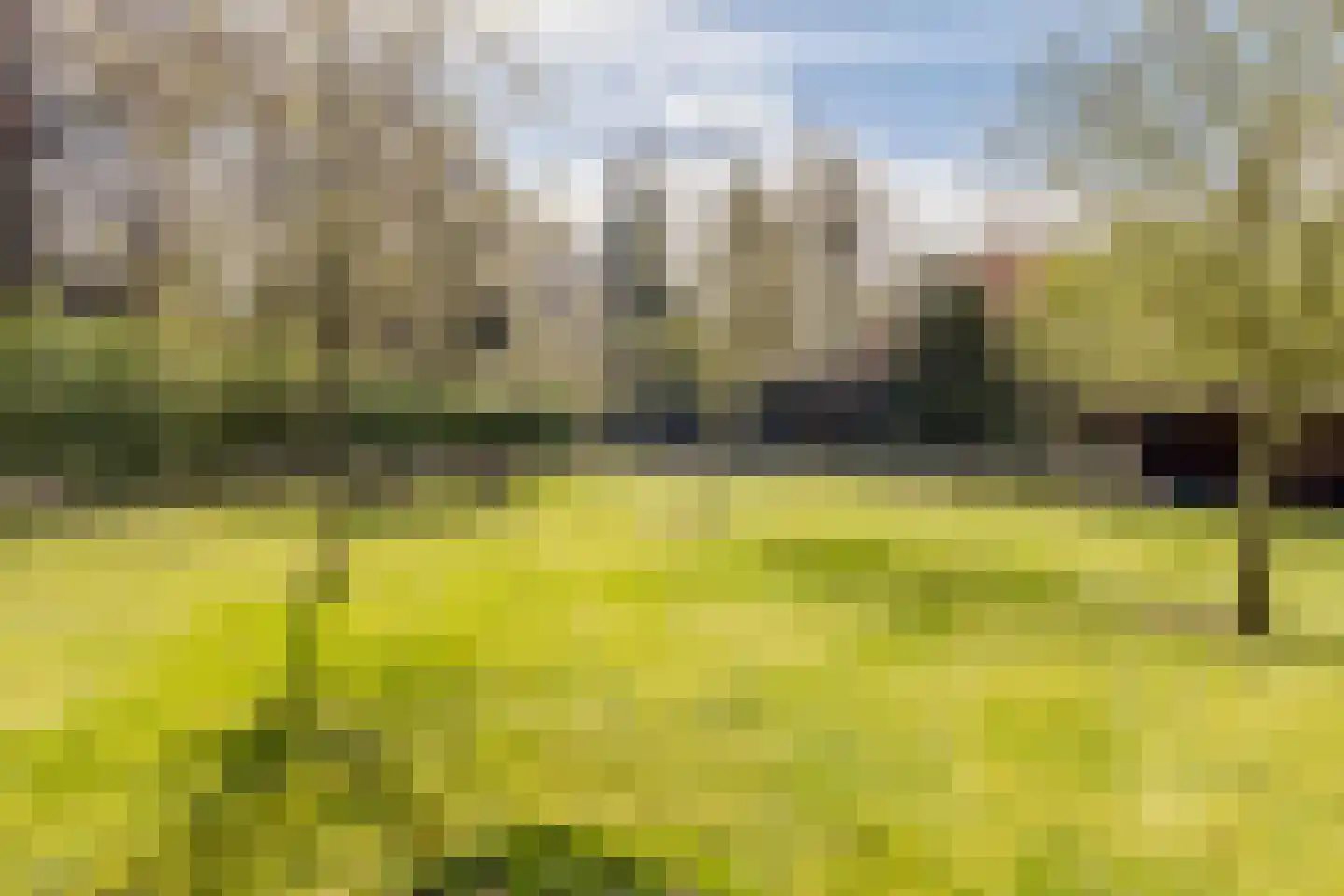 Woestenes 7 Eibergen thumbnail 76