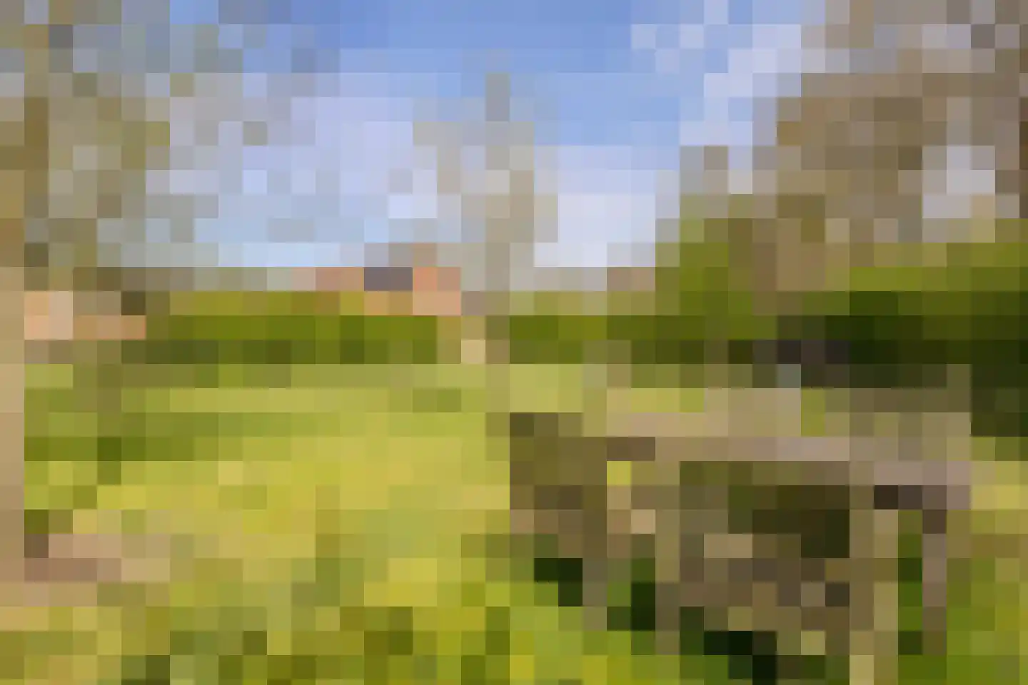 Woestenes 7 Eibergen thumbnail 77