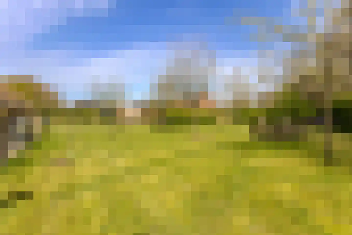 Woestenes 7 Eibergen thumbnail 78