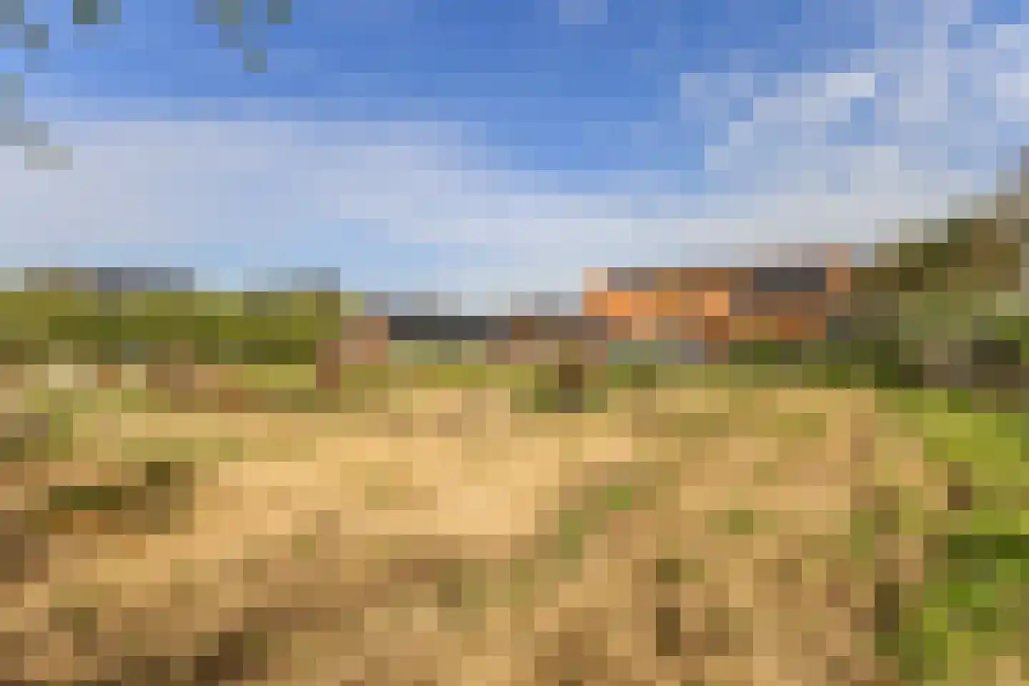 Woestenes 7 Eibergen thumbnail 78