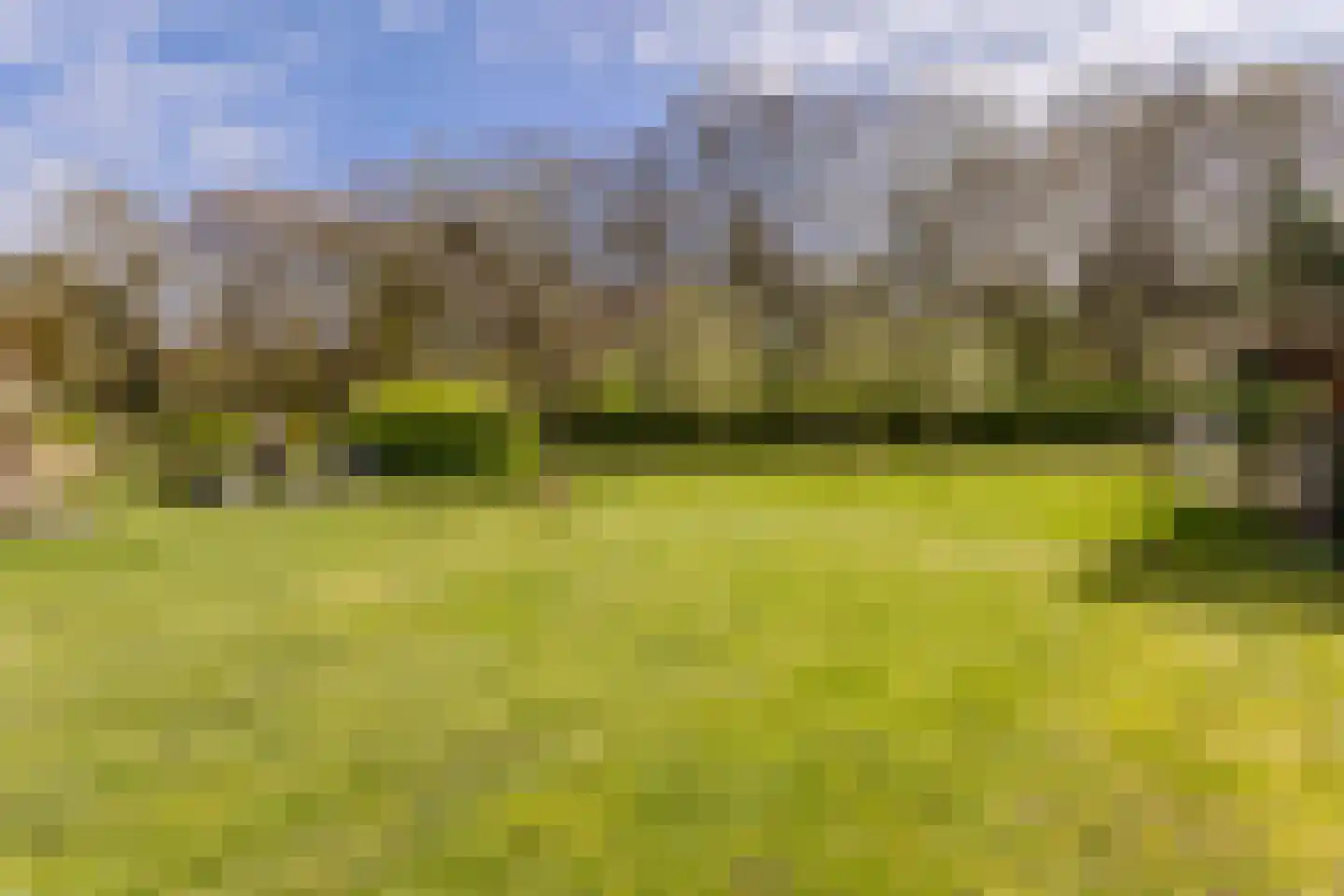 Woestenes 7 Eibergen thumbnail 79