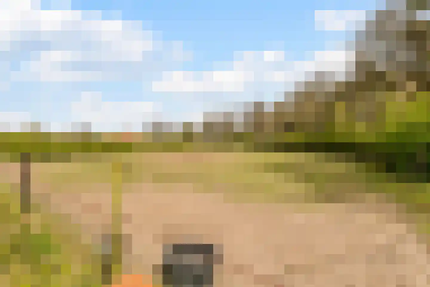 Woestenes 7 Eibergen thumbnail 80