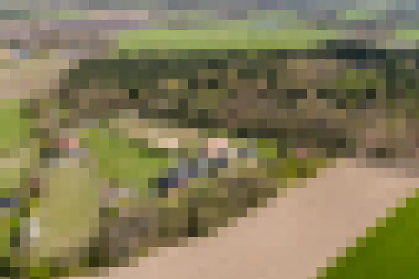 Woestenes 7 Eibergen thumbnail 80